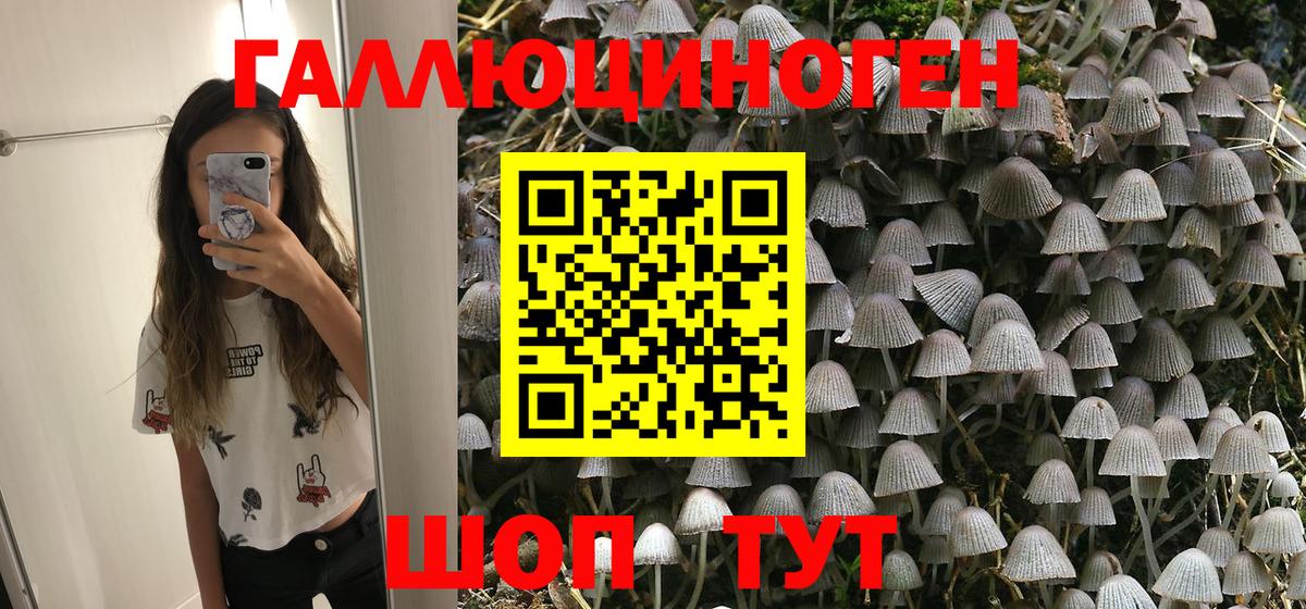 купить наркоту  Псилоцибиновые грибы MAGIC MUSHROOMS  Вход с VPN  Елец 