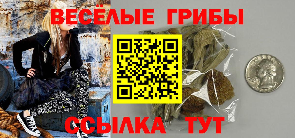 Псилоцибиновые грибы мухоморы Елец
